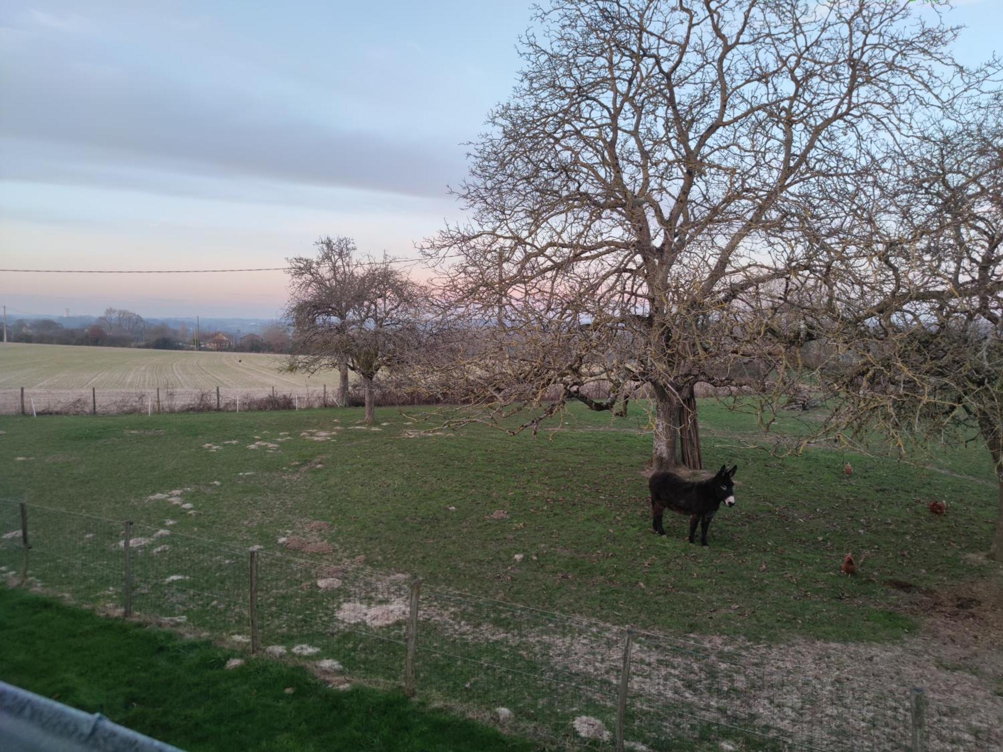 Chambre D Hote Beaumont Pied De Boeuf Esterno foto